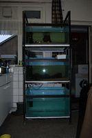 kweekstelling4