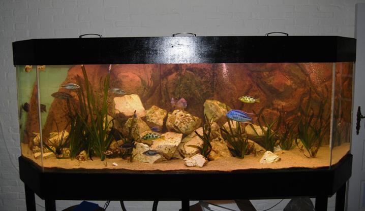 Aquarium Almelo