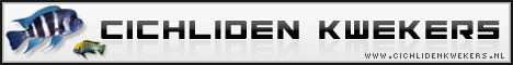 Cichliden Kwekers
